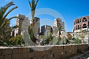 Gardens in Sanaa, Yemen.