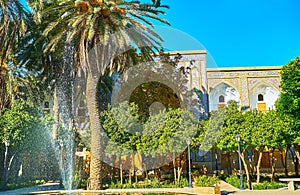 The gardens of Shiraz, Iran