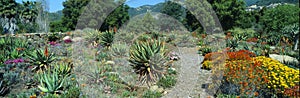 Gardens in Spring, Ojai Center for Earth Concerns, Ojai, California