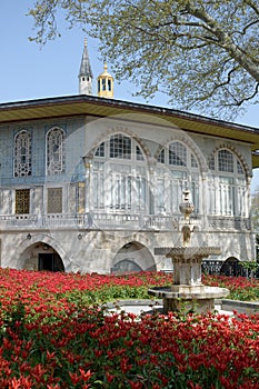 In the gardens of Topkapi Palace in Istanbul