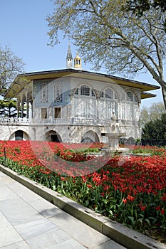 In the gardens of Topkapi Palace in Istanbul