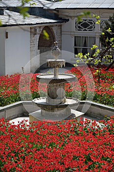 In the gardens of Topkapi Palace in Istanbul