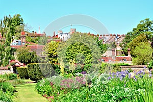 Gardens in the town of Lewes photo