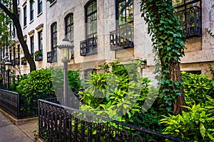 Gardens and townhouses along 23rd Street in Chelsea, Manhattan,