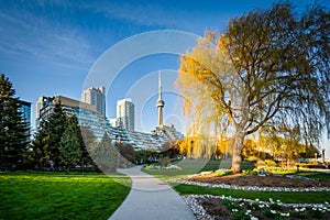 Gardens and tree along a walkway and modern buildings at the Harbourfront in Toronto, Ontario.