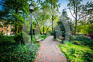 Gardens and trees along a walkway at Johns Hopkins University, i