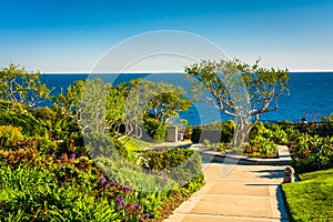 Gardens and trees overlooking the Pacific Ocean