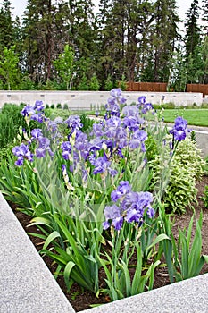 Gardens at the University of Alberta Botanical Gardens, Alberta, Canada photo