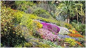 Gardens of villa Carlotta. Tremezzo, Italy