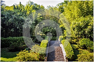 Gardens of villa Carlotta. Tremezzo, Italy