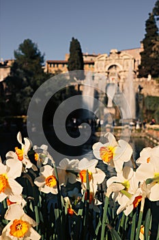 Gardens of Villa D`Este