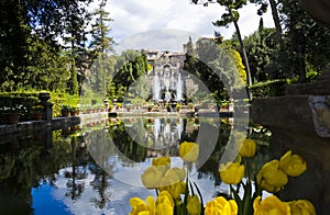 Gardens of Villa d'Este in Tivoli - Italy