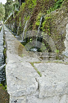 Gardens of Villa d'Este in Tivoli - Italy