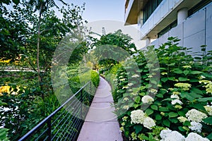 Gardens and walkway outside the Embassy of Sweden, in Washington