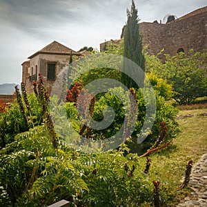 Gardens and wall of the Alcazaba of Malaga