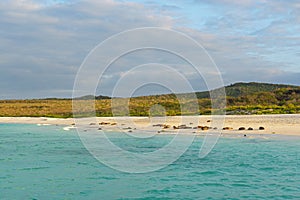 Gardner Bay at Sunset, Galapagos Islands, Ecuador