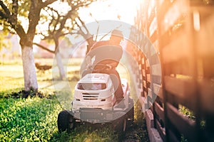 Gardner riding lawnmower and cutting grass during sunset golden hour. Details of gardening with sunrays