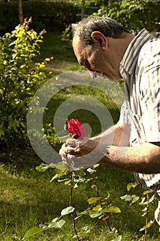 Gardner with rose