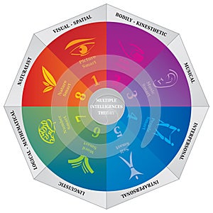 Gardners Multiple Intelligences Theory Diagram - Wheel - Coaching Tool photo