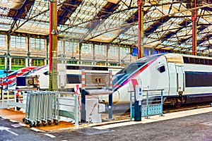 Gare de Lyon Train station in Paris photo