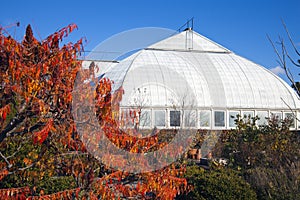 Garfield Park Conservatory