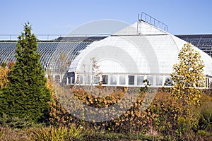 Garfield Park Conservatory