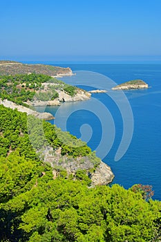 Gargano coast