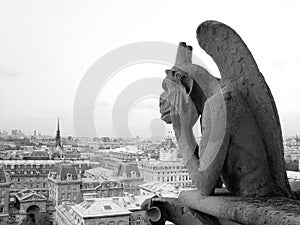 Gargoyle