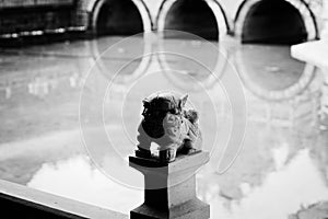 gargoyle on the bridge and water reflection background - Yuantong Temple