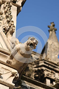 Gargoyle on a cathedral