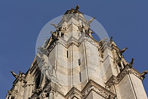 Doccione sul cattedrale da 