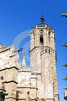 Gargoyle of the cathedral of Barcelona