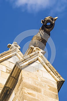 Gargoyle on the Cathedral of Barcelona