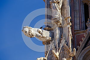 Siena. The Cathedral of the Blessed Virgin.