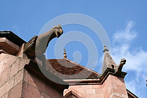 Gargoyle, cathedral of Saint-DiÃÂ©-des-Vosges