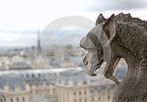 gargoyle in the church of Notre Dame in Paris