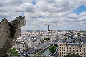 Gargoyle contemplating the Eiffel tower