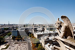 Gargoyle contemplating Paris
