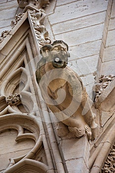 Gargoyle on the facade of the St. Jean cathedral, Lyon, France