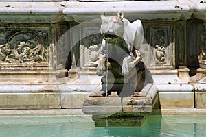 Gargoyle of Fonte Gaia in Siena, Italy