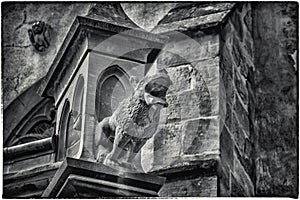 Gargoyle of Gothic Church in Kaisersbourg, Alsace, France