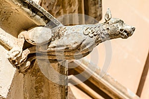 Gargoyle on a house in Mdina, Malta