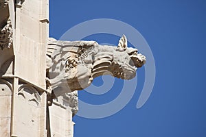Gargoyle at La Lonja monument photo