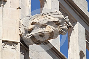 Gargoyle at La Lonja monument in Palma de Mallorca photo