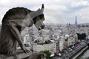 Gargoyle looking at Paris