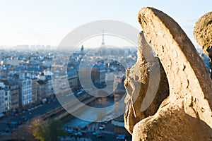 Gargoyle looking at Paris aerial view