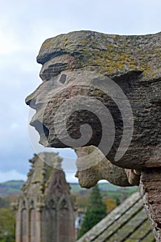 Gargoyle at Melrose Abbey, Scotland 