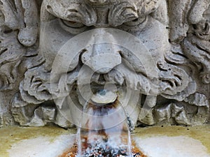 A gargoyle with moustache and beard