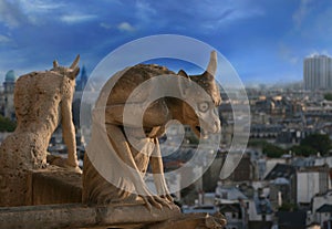 Gargoyle of Notre Dame de Paris