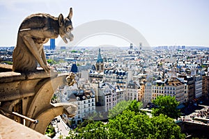 Gargoyle of Notre Dame de Paris